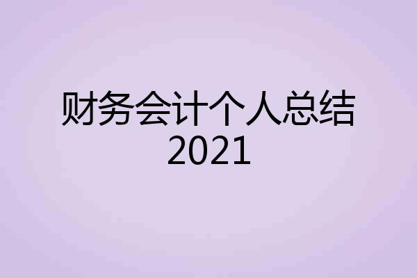 财务会计个人总结2021