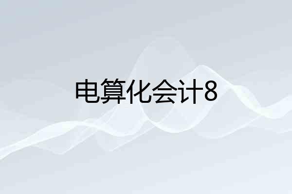 电算化会计8
