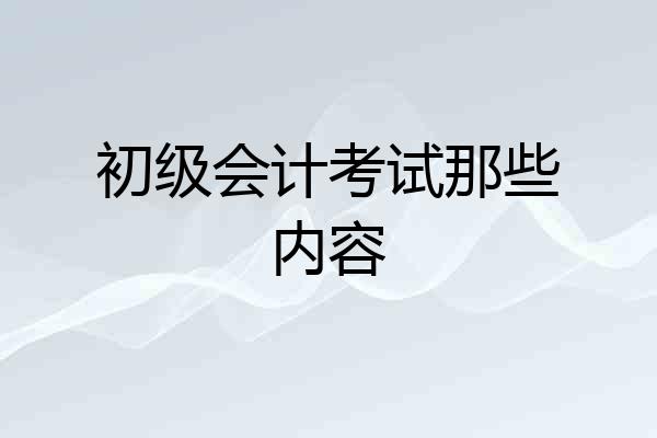 初级会计考试那些内容