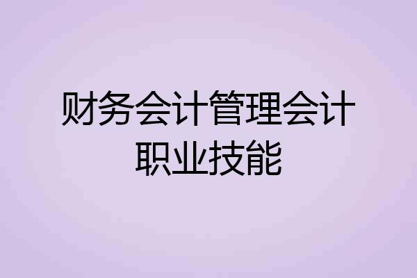 财务会计管理会计职业技能