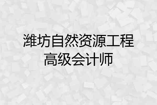潍坊自然资源工程高级会计师