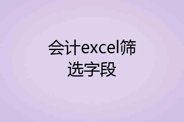 会计excel筛选字段