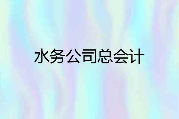 水务公司总会计