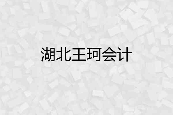 湖北王珂会计