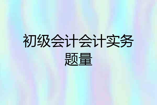 初级会计会计实务题量