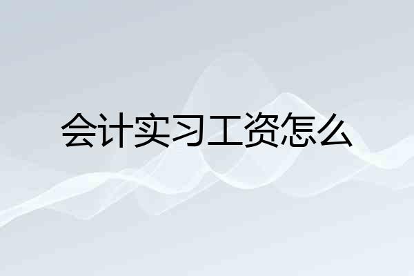 会计实习工资怎么