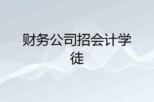 财务公司招会计学徒