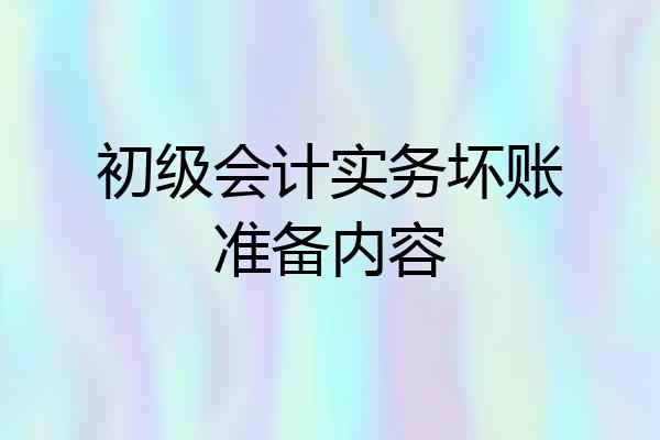 初级会计实务坏账准备内容