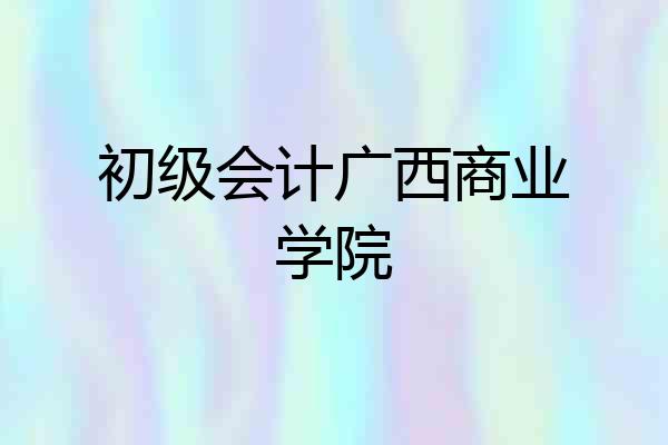 初级会计广西商业学院