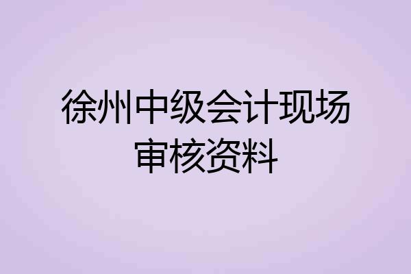 徐州中级会计现场审核资料