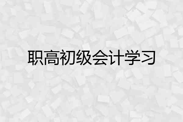 职高初级会计学习