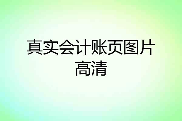 真实会计账页图片高清