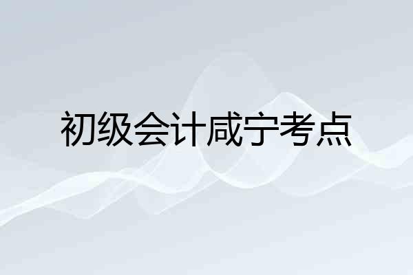 初级会计咸宁考点