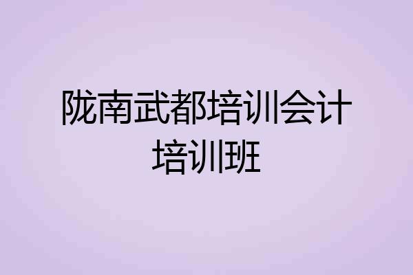 陇南武都培训会计培训班