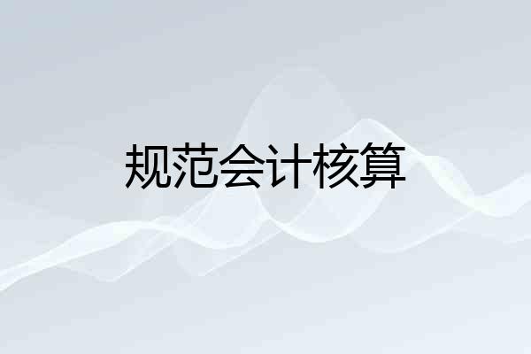 规范会计核算