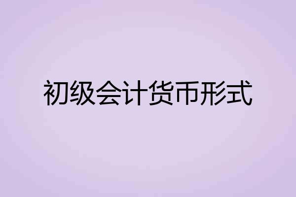初级会计货币形式