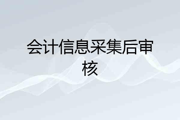 会计信息采集后审核