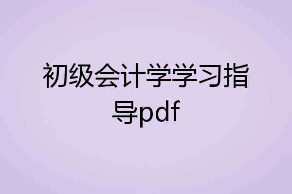 初级会计学学习指导pdf