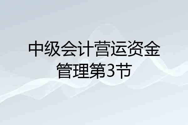 中级会计营运资金管理第3节