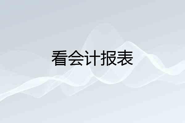 看会计报表