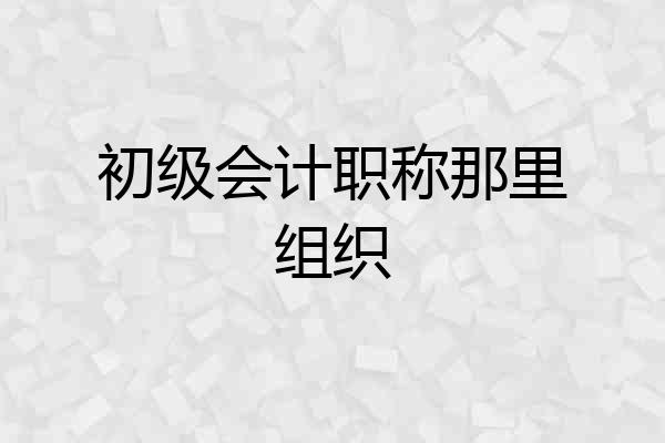 初级会计职称那里组织