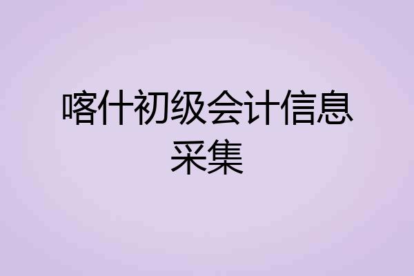 喀什初级会计信息采集