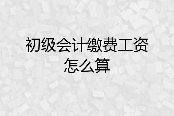 初级会计缴费工资怎么算