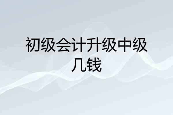 初级会计升级中级几钱