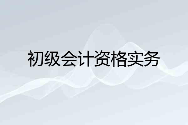 初级会计资格实务