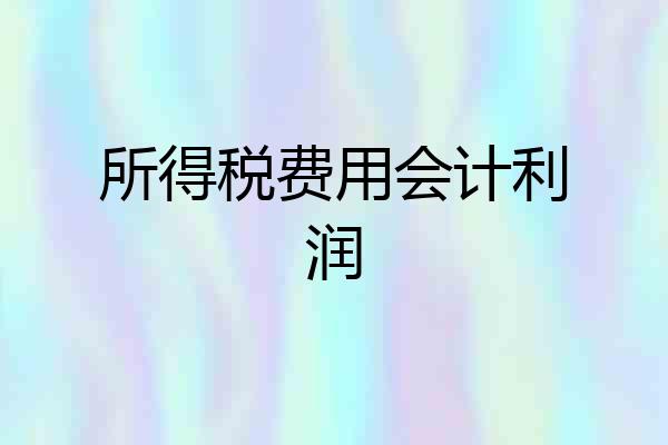 所得税费用会计利润