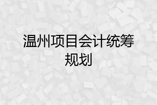 温州项目会计统筹规划