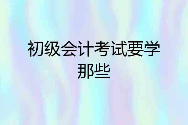 初级会计考试要学那些