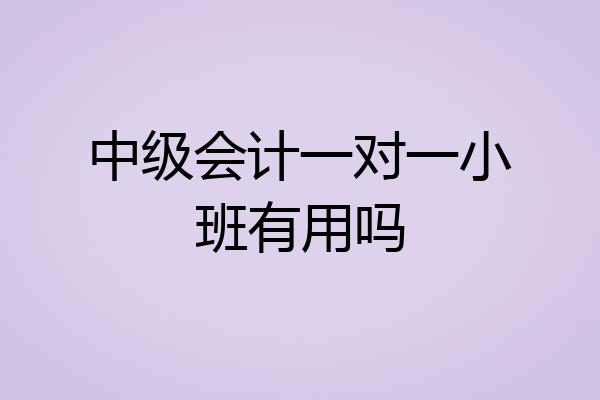 中级会计一对一小班有用吗