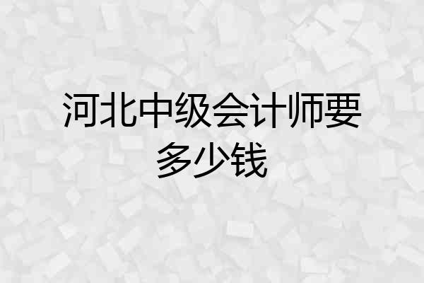 河北中级会计师要多少钱