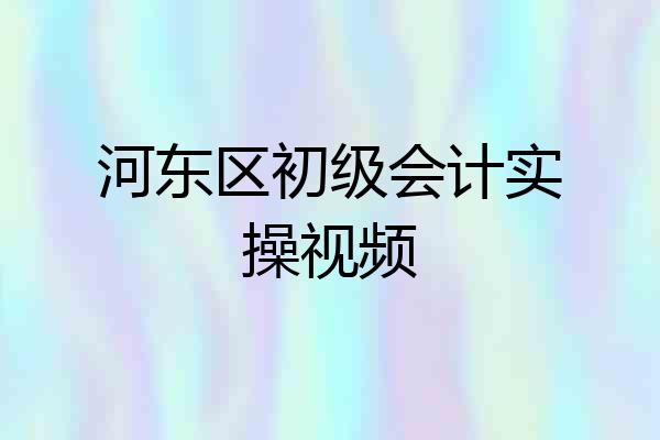 河东区初级会计实操视频