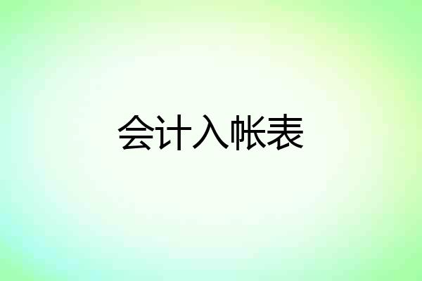 会计入帐表