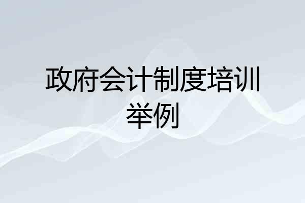 政府会计制度培训举例