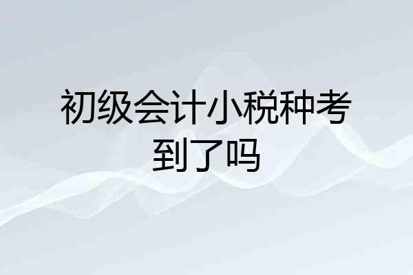 初级会计小税种考到了吗