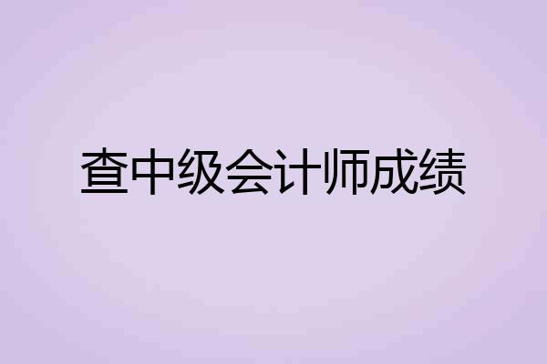 查中级会计师成绩