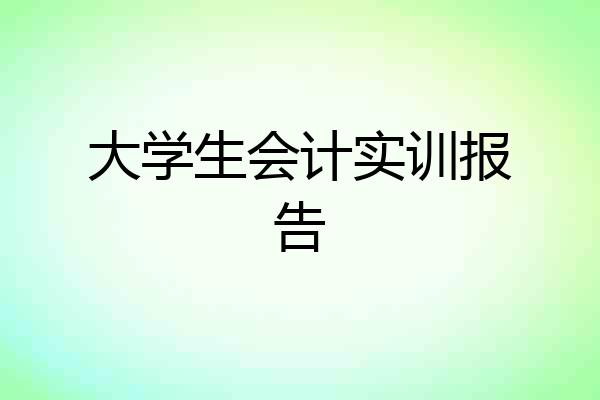 大学生会计实训报告