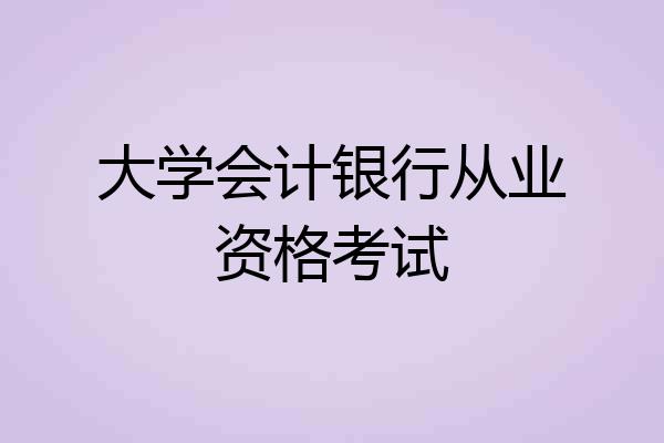 大学会计银行从业资格考试