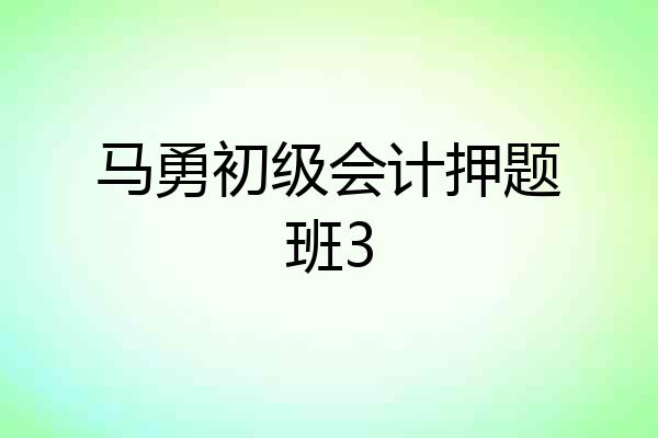 马勇初级会计押题班3