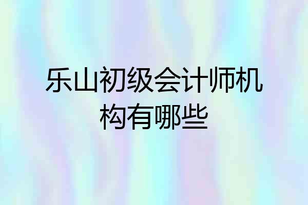 乐山初级会计师机构有哪些