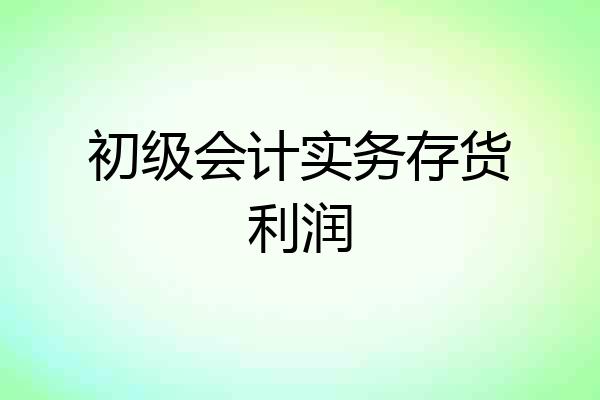 初级会计实务存货利润