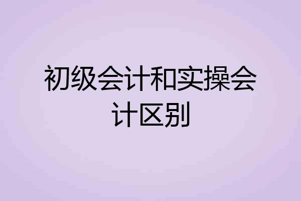 初级会计和实操会计区别