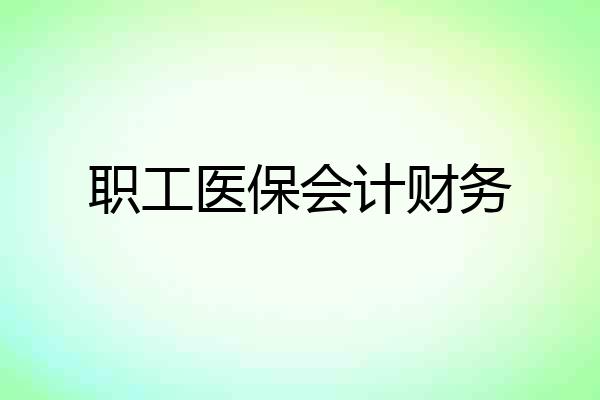 职工医保会计财务