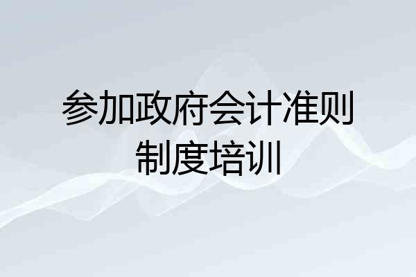 参加政府会计准则制度培训