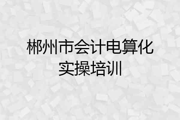 郴州市会计电算化实操培训