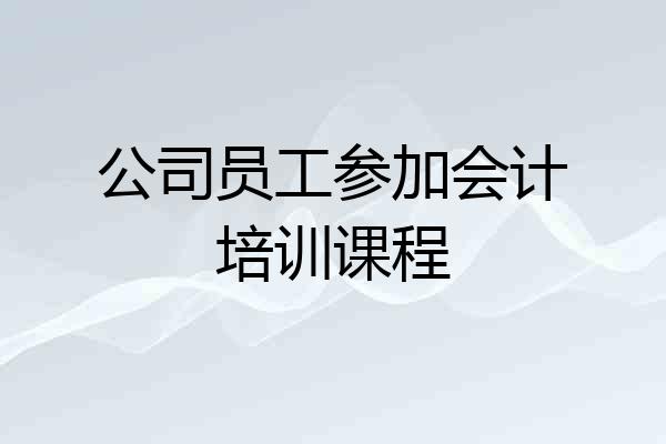 公司员工参加会计培训课程