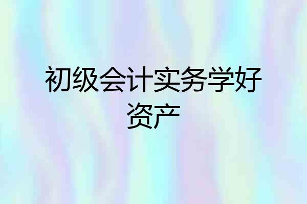 初级会计实务学好资产